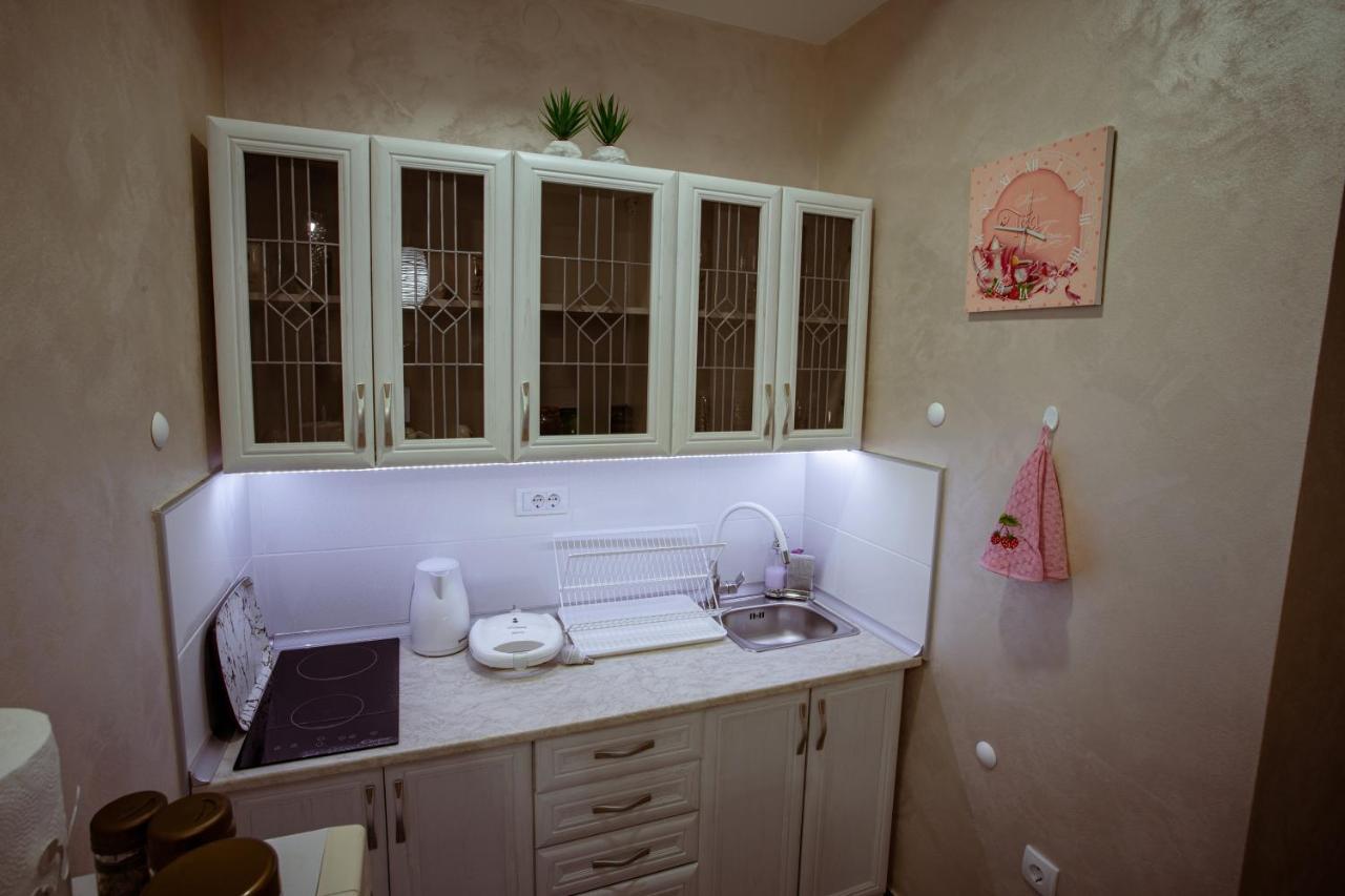 Studio Apartman Dona Nova Varoš Extérieur photo