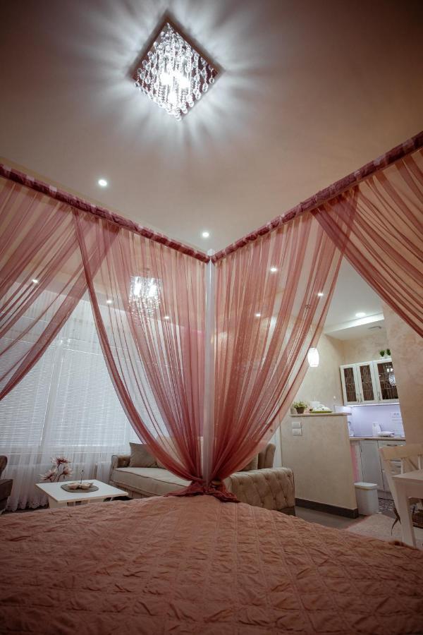 Studio Apartman Dona Nova Varoš Extérieur photo