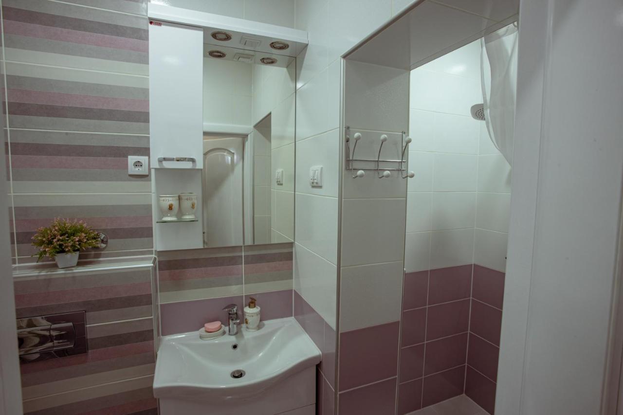 Studio Apartman Dona Nova Varoš Extérieur photo
