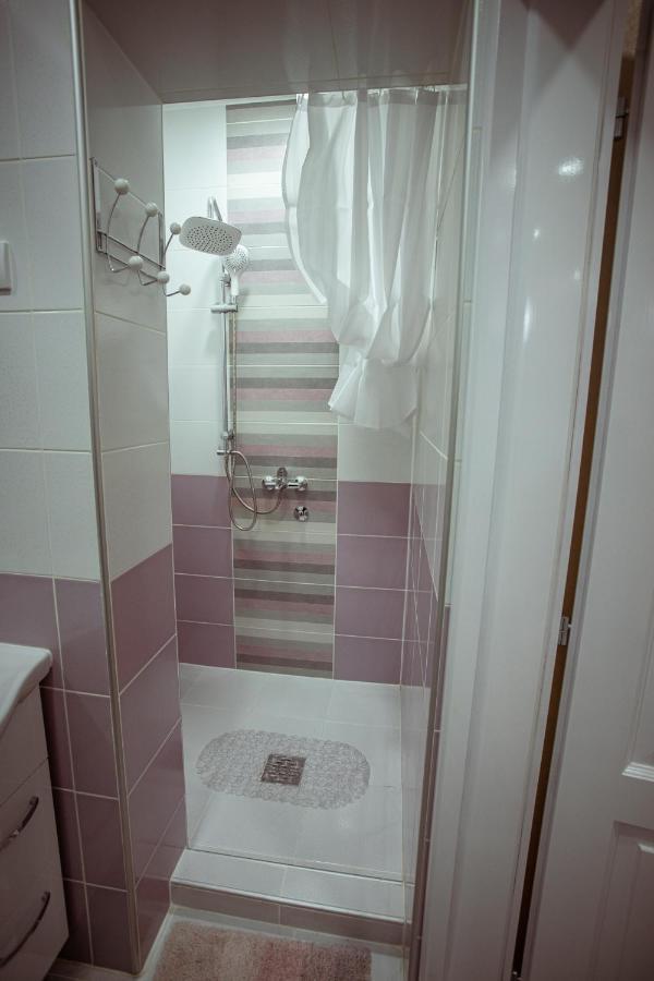 Studio Apartman Dona Nova Varoš Extérieur photo